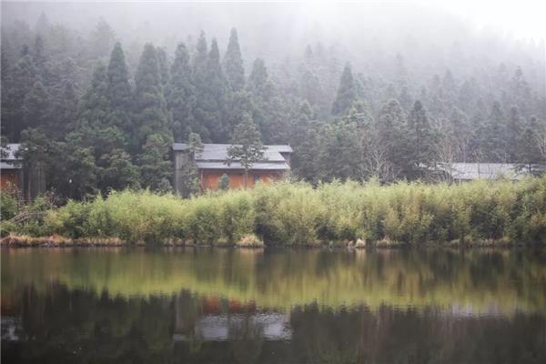 九龙山自然保护区